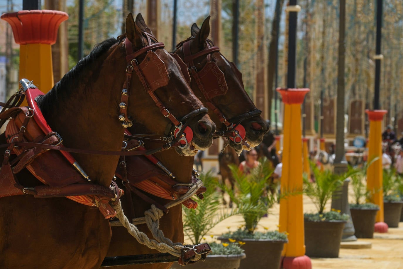 Fotos: Último día de Feria en Jerez