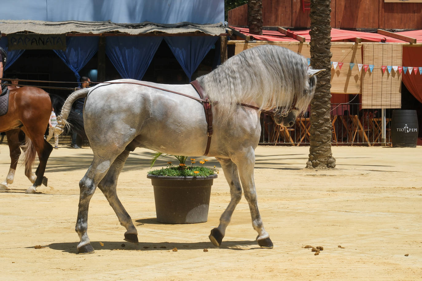 Fotos: Último día de Feria en Jerez