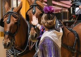 Fotos: Último día de Feria en Jerez