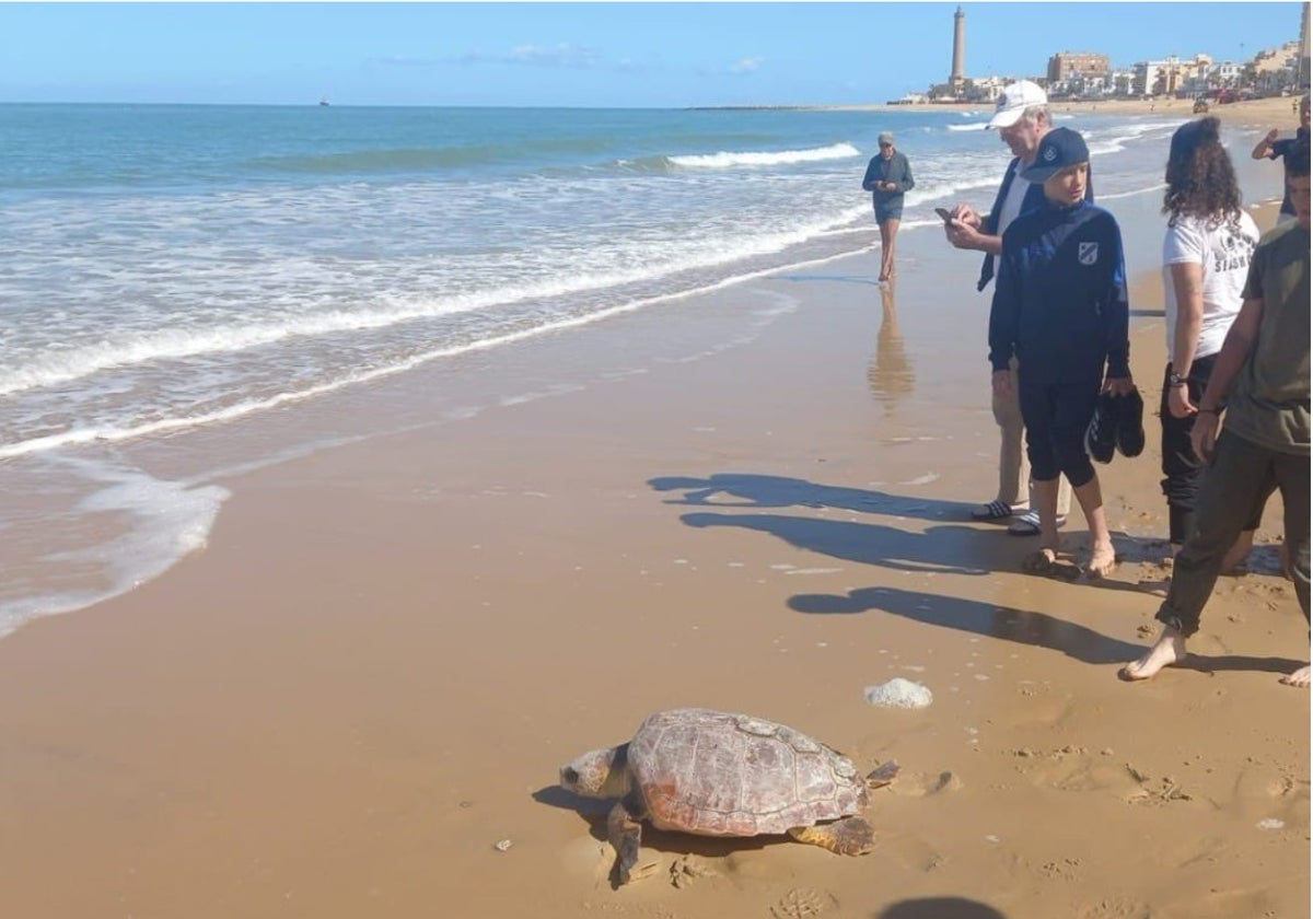 Eloy y Deseada han estado ingresados en el Centro de Gestión del Medio Marino de Algeciras