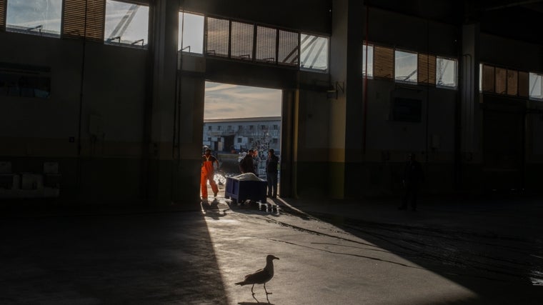 Situación «catastrófica» para el sector pesquero gaditano