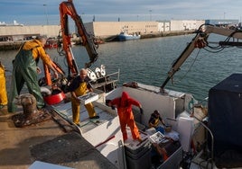 Situación «catastrófica» para el sector pesquero gaditano