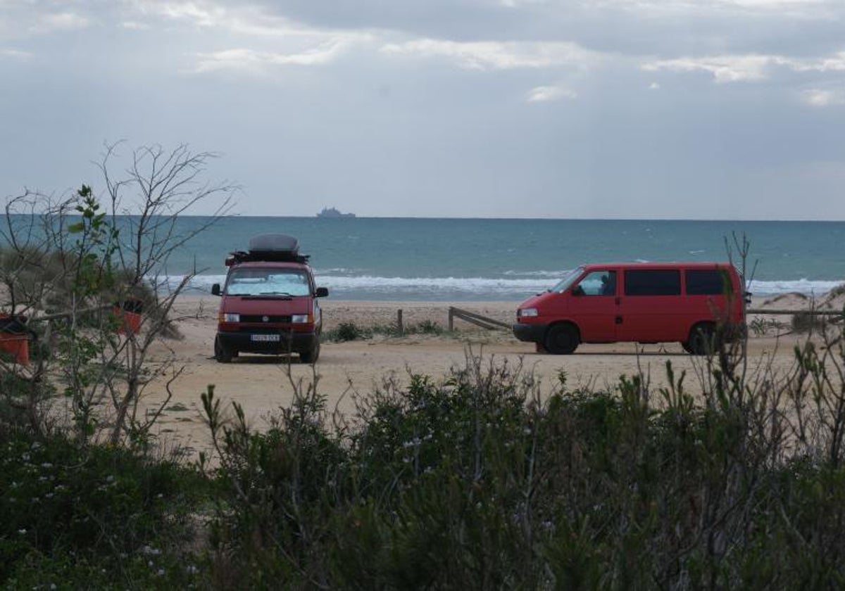 La playa canina de Torregorda, en Cádiz, ya cuenta con la autorización de la Junta