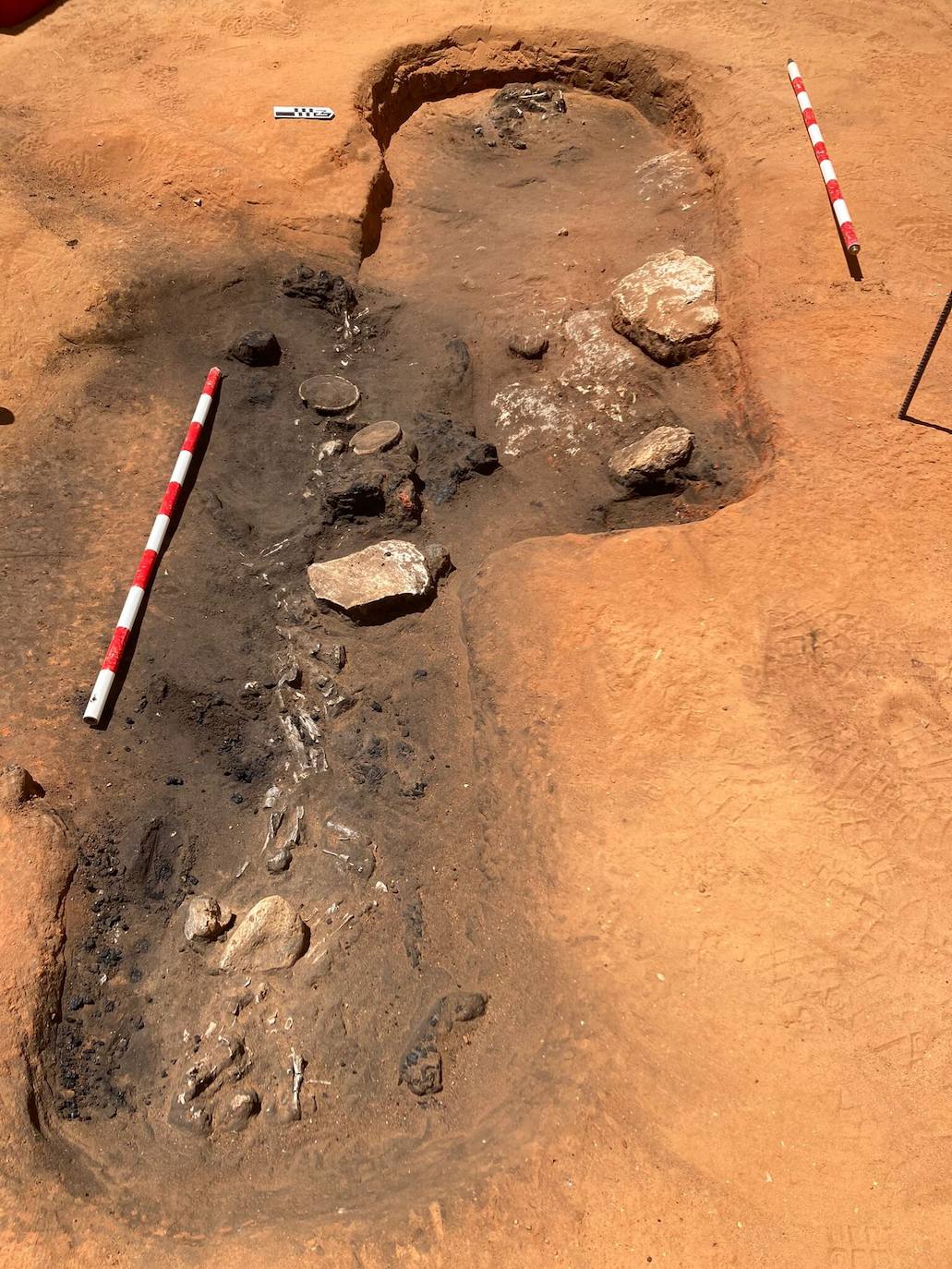 Fotos: restos romanos y fenicios en Marqués de Cropani en Cádiz