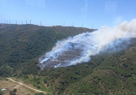 Declarado un incendio forestal en Tarifa