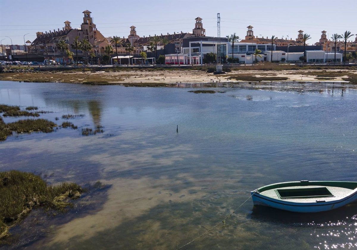 La riqueza natural de San Fernando a través de una guía de aves