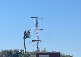 Endesa refuerza la red eléctrica de las zonas rurales de Tarifa
