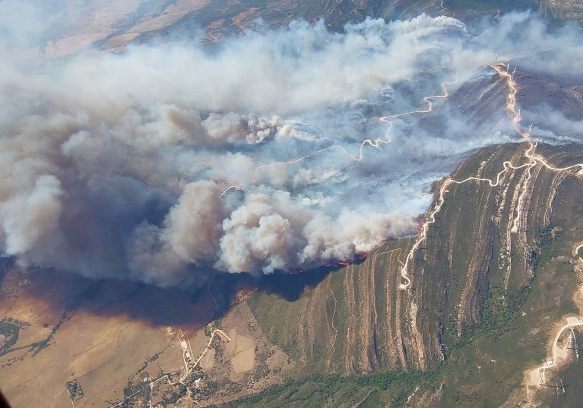 Incendio forestal de Tarifa.