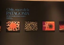 Exposición de fotografías 'Chile, Voces de la Patagonia. Secretos del Fondo Marino'