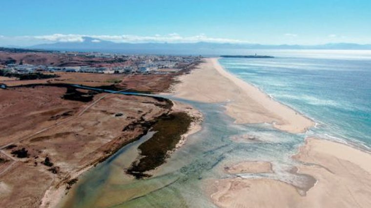 Dos banderas negras para las playas de Cádiz según Ecologistas