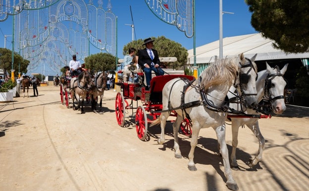 Coches de caballos