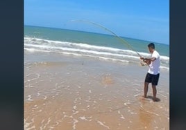 El espectacular pez que capturaron unos pescadores en la playa de Valdelagrana