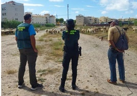 Una estafa en el campo andaluz afecta a 18 ganaderos gaditanos