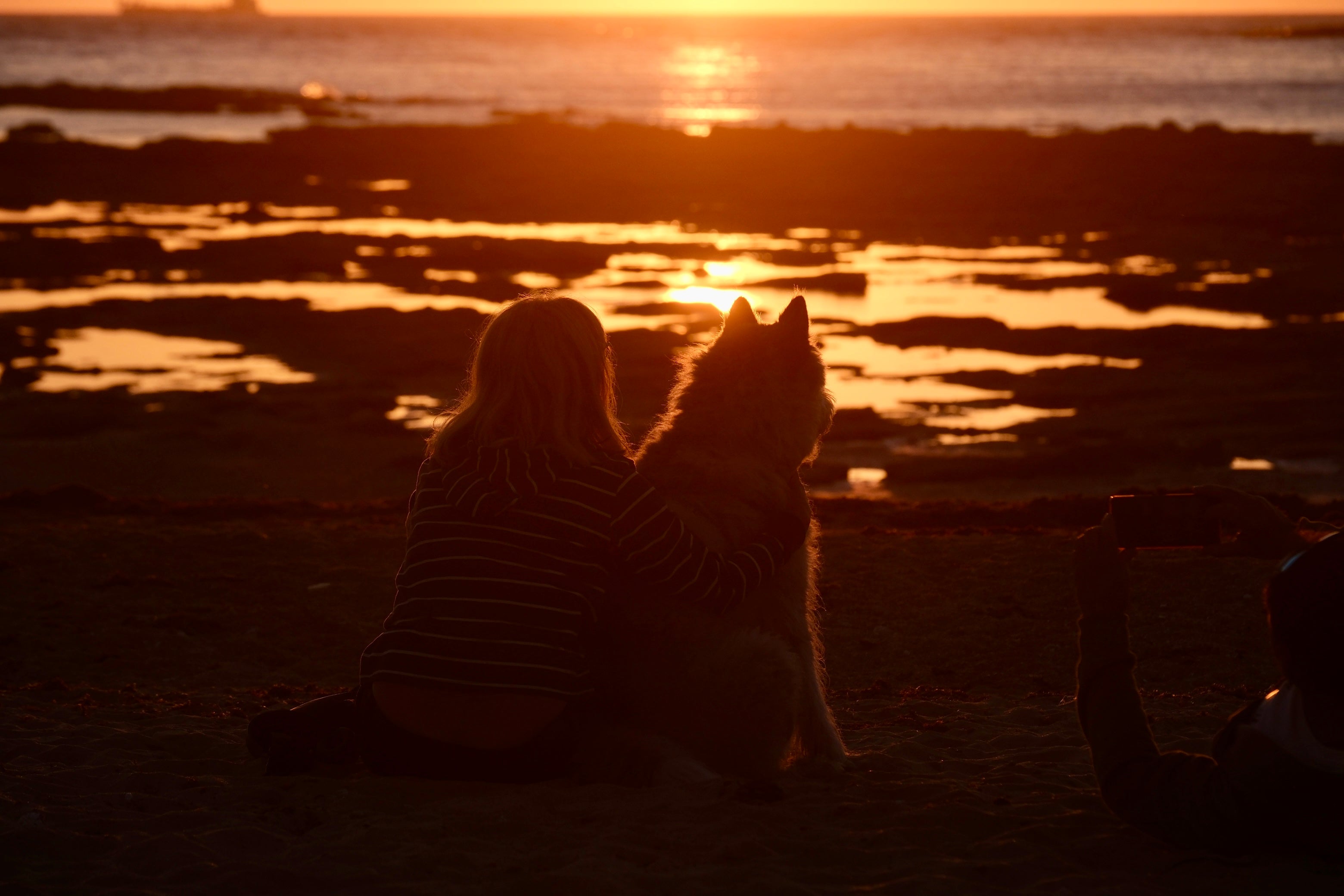 Fotos: Atardecer de La Caleta para darle la bienvenida al verano