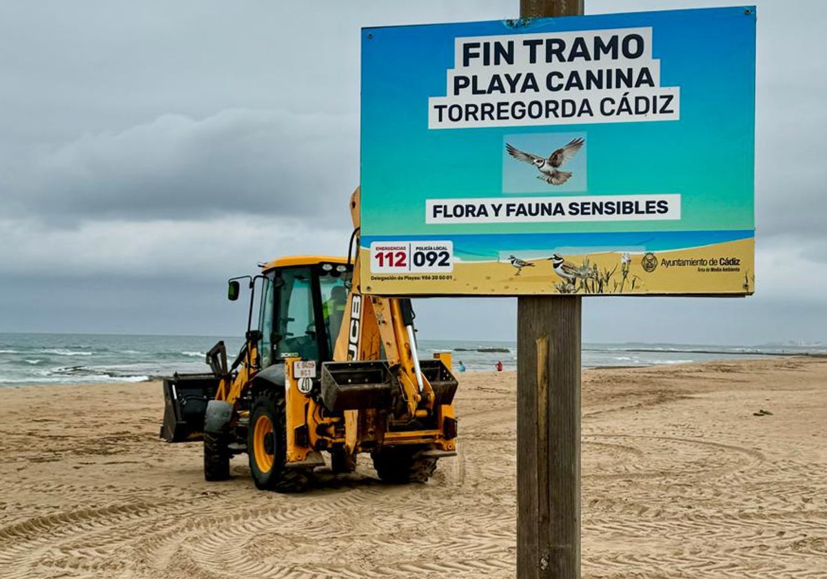 Cádiz capital ya tiene su playa canina