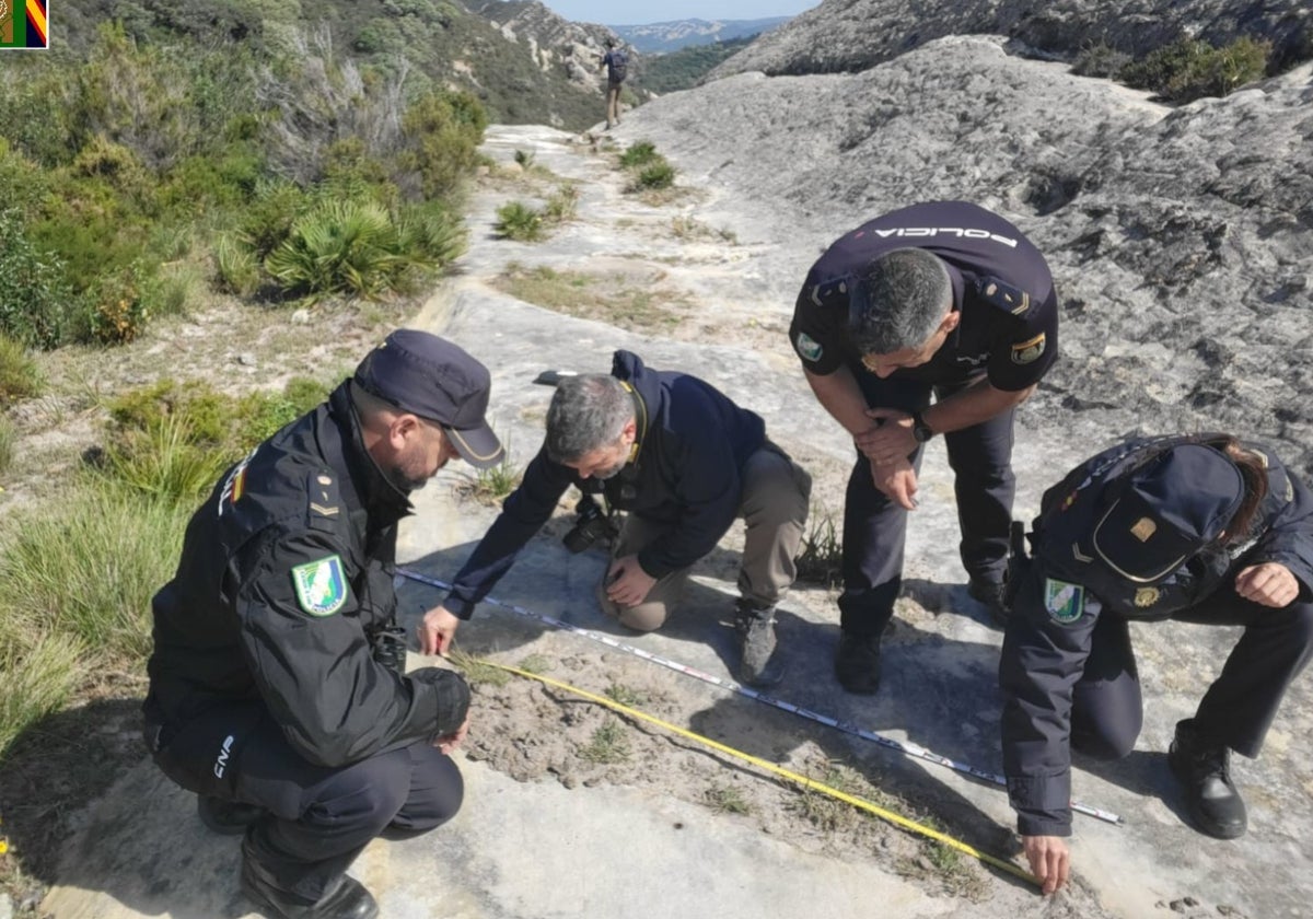 Los agentes trabajan sobre el terreno.