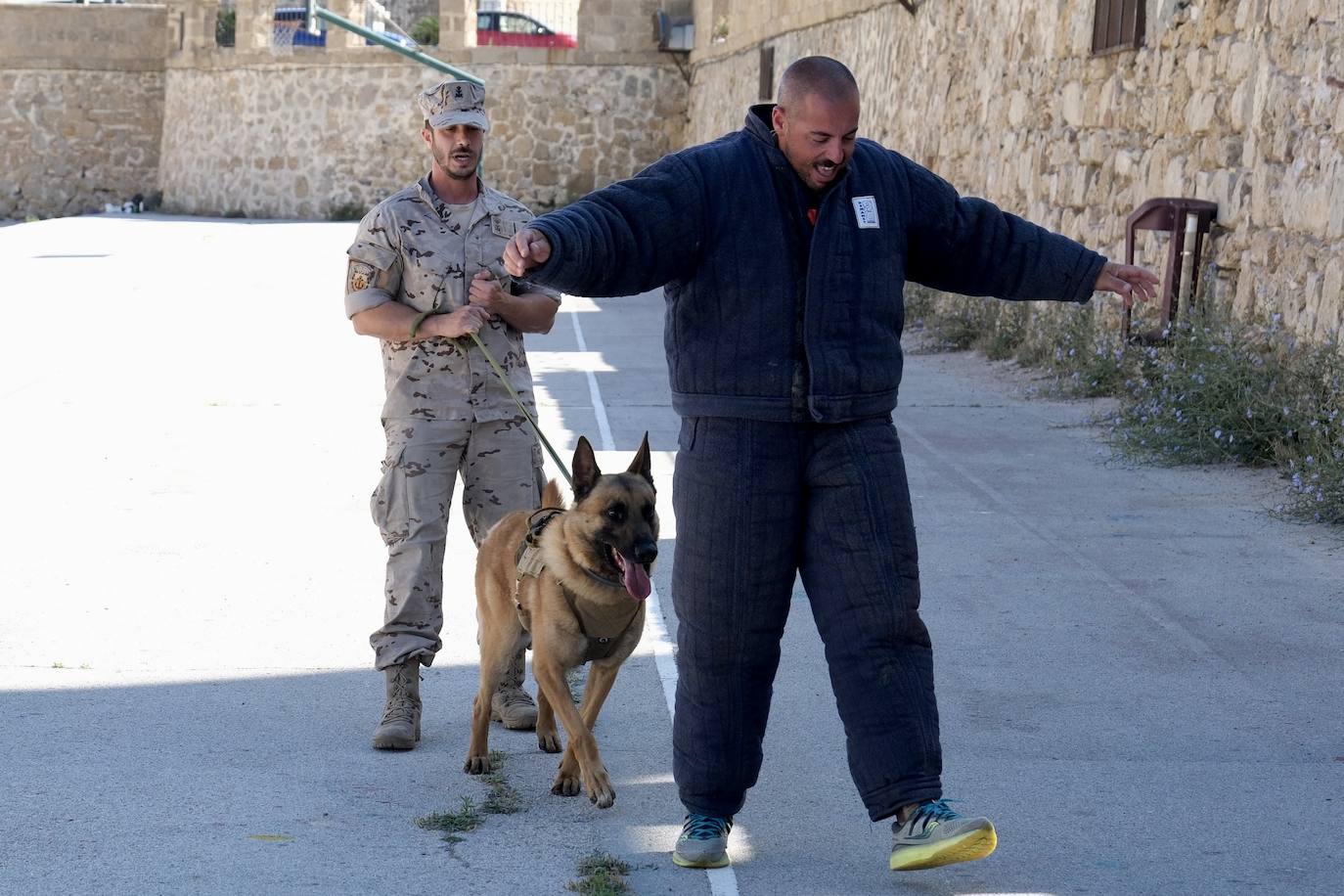 Los animales de compañía protagonizan la campaña sobre tenencia responsable de mascotas en Cádiz