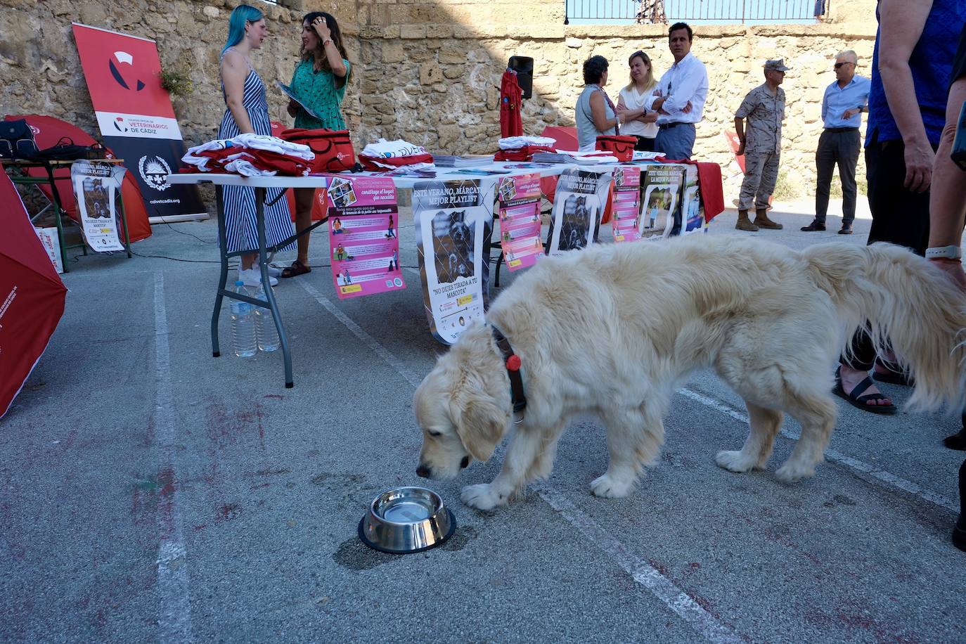 Los animales de compañía protagonizan la campaña sobre tenencia responsable de mascotas en Cádiz