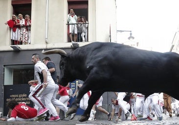 La ganadería gaditana de Cebada Gago, protagonista en San Fermín 2024