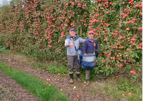 Imagen secundaria 1 - Jornaleros gaditanos en la campaña de la manzana en Francia