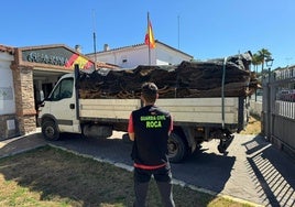 Roban 16 toneladas de corcho y causan «daños irreparables» en árboles de Tarifa, San Roque, Castellar y Jimena