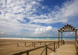 Cavada pide a la Junta que «deje de confundir a la ciudadanía» con la limpieza de la playa de Camposoto