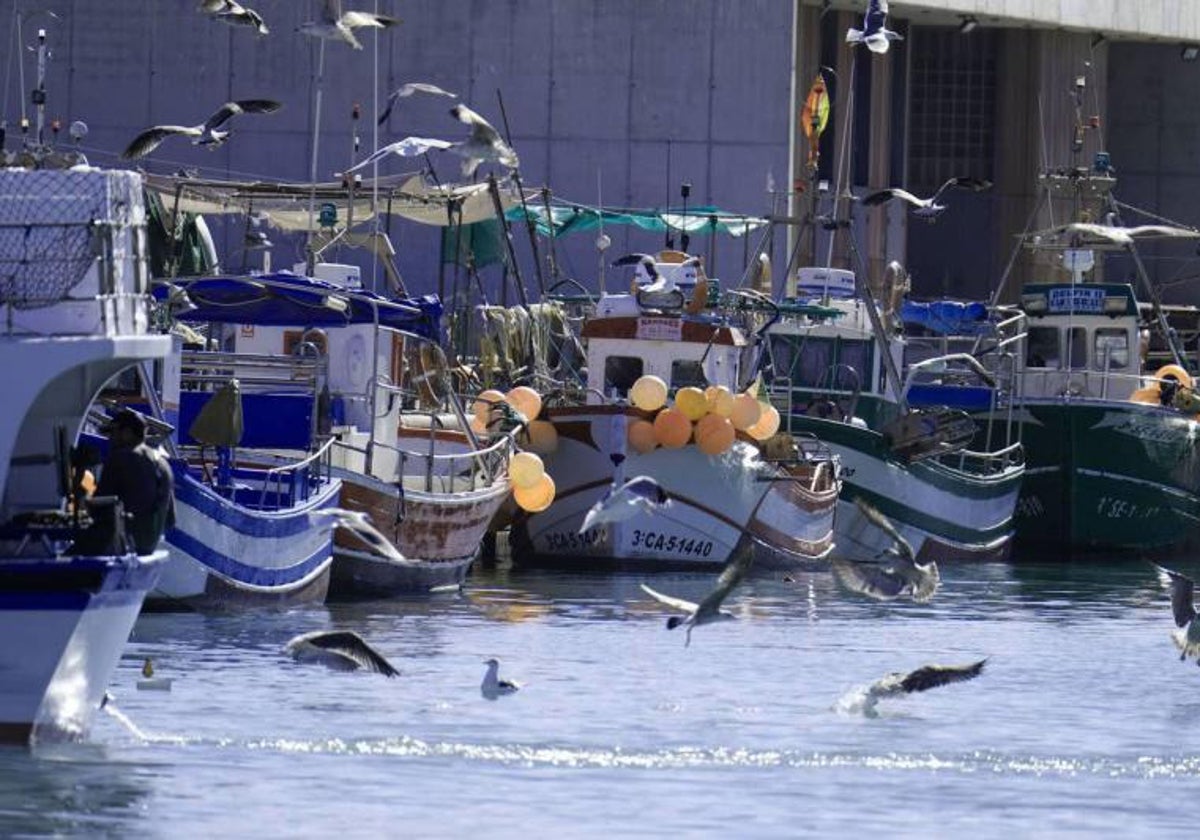 Muere un pescador de Barbate cuando faenaba frente a las costas de Chipiona