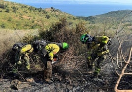 Estabilizado el incendio forestal originado en un paraje de Algeciras