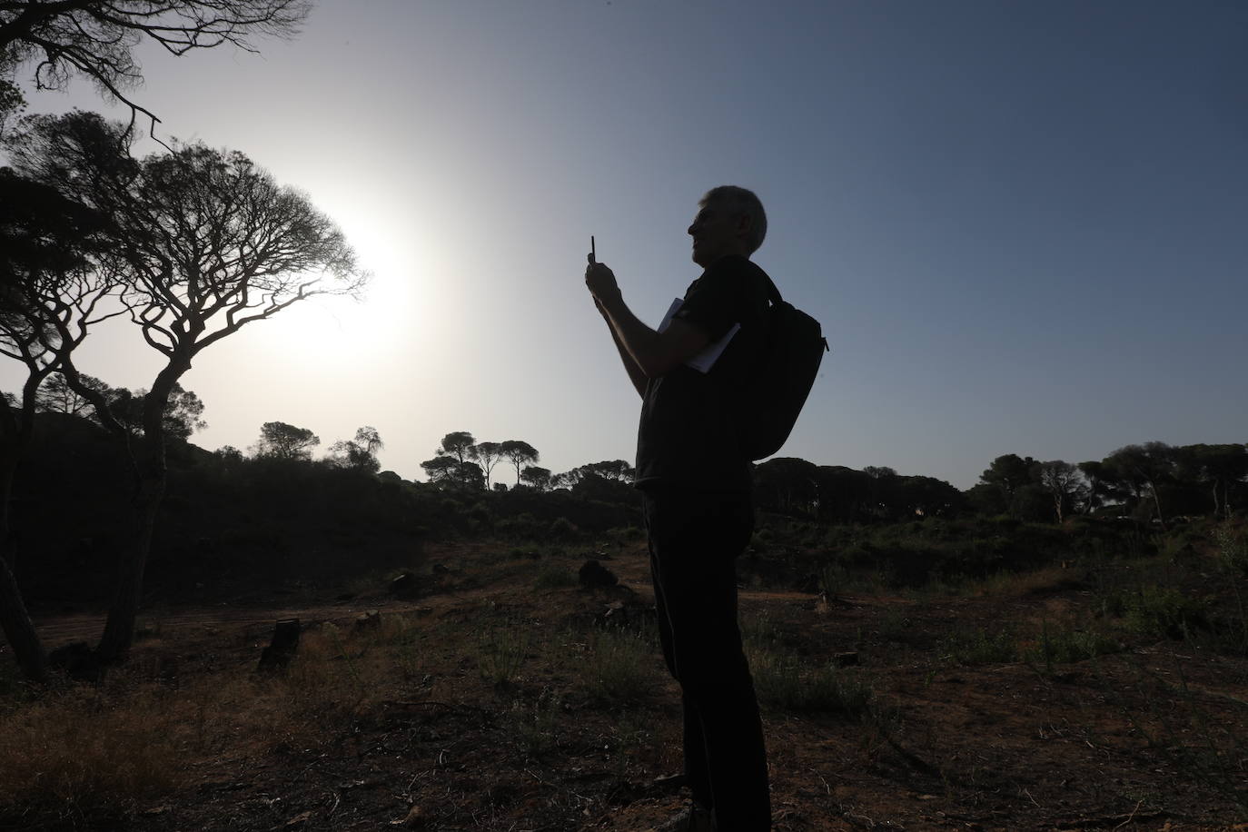 Fotos: Así se encuentra el parque de Las Canteras un año después del incendio