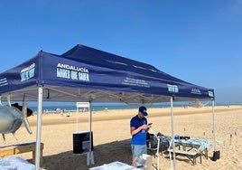 'Andalucía Mares que saben' llega a la playa de Conil