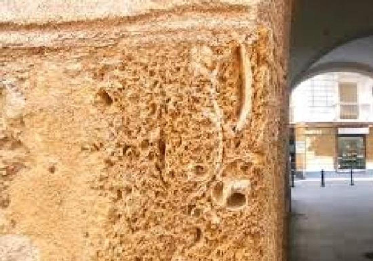 «Cádiz está construida con piedra ostionera; las olas de un tsunami no podrán con ninguna casa»