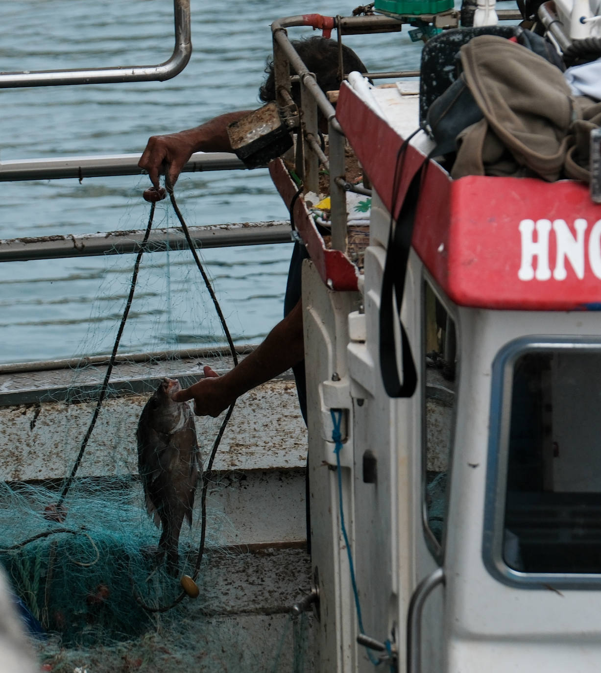 Fotografías de un drama: el alga asiática pasa &#039;factura&#039; a los pescadores de Conil