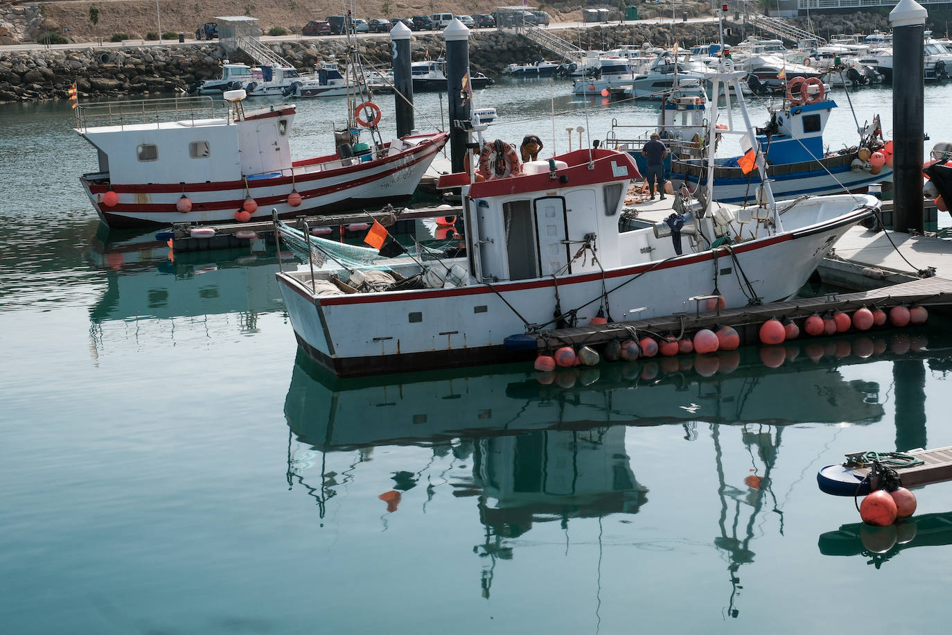 Fotografías de un drama: el alga asiática pasa &#039;factura&#039; a los pescadores de Conil