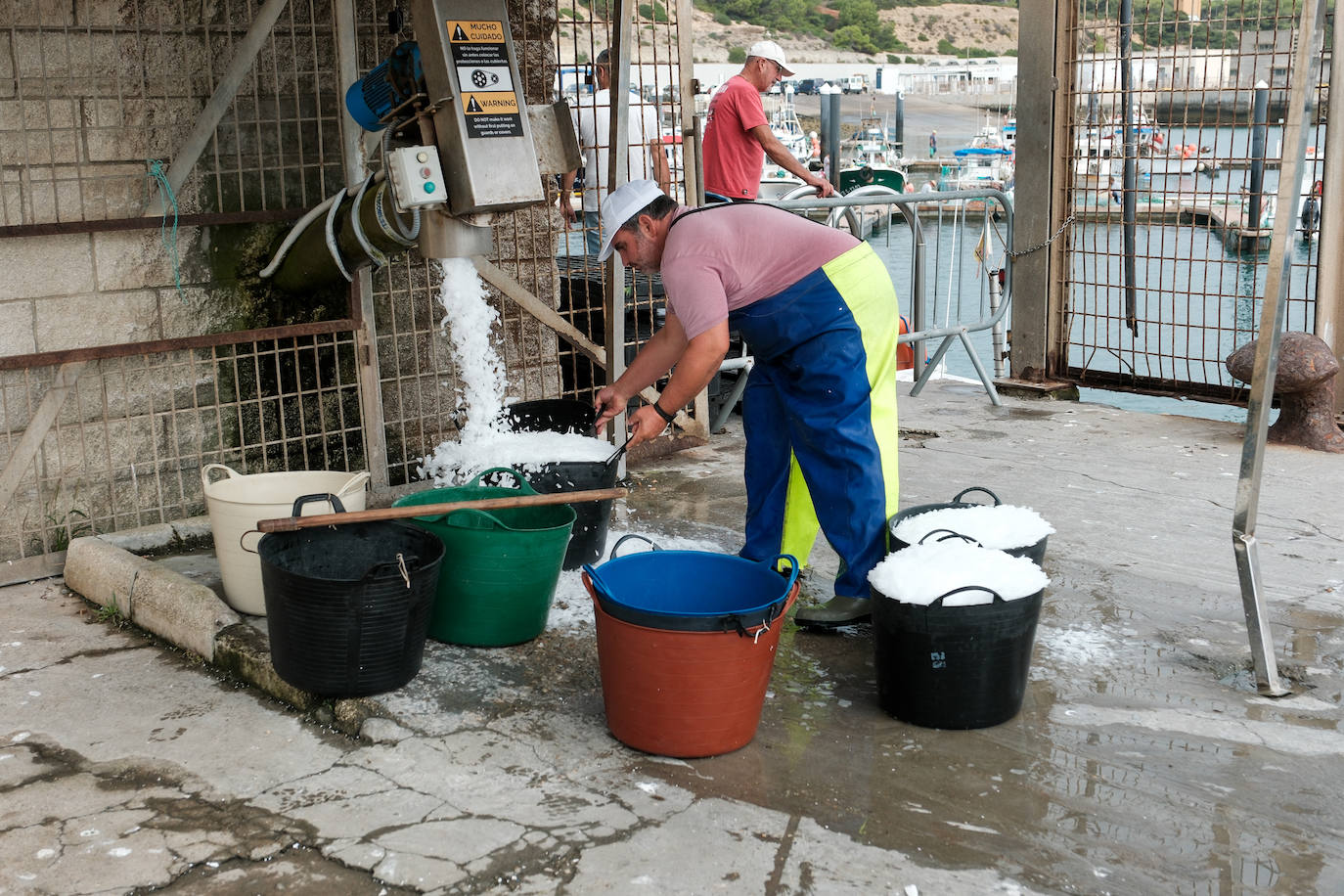 Fotografías de un drama: el alga asiática pasa &#039;factura&#039; a los pescadores de Conil