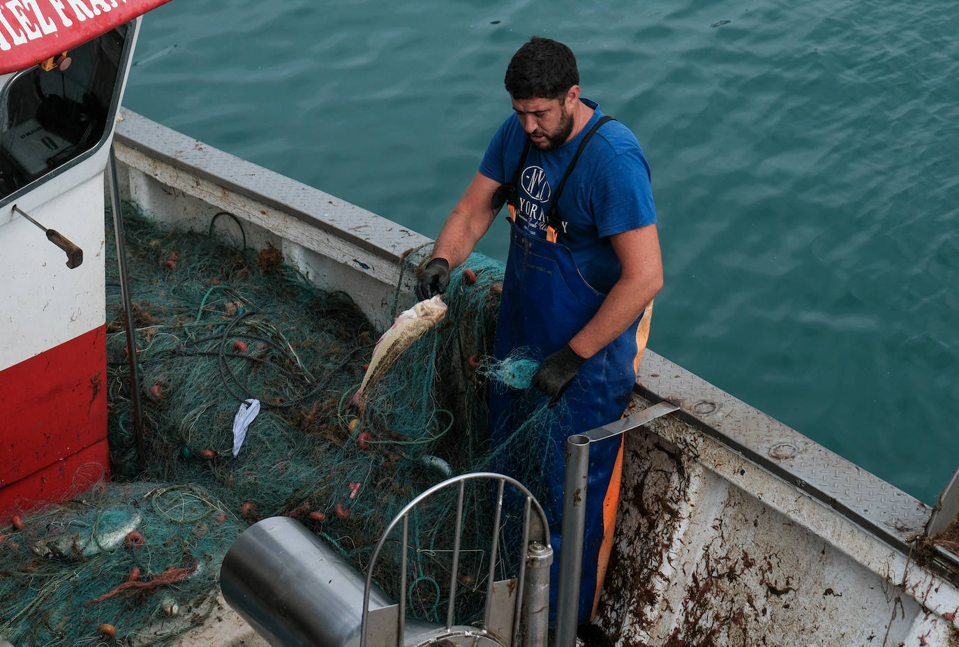 Fotografías de un drama: el alga asiática pasa &#039;factura&#039; a los pescadores de Conil