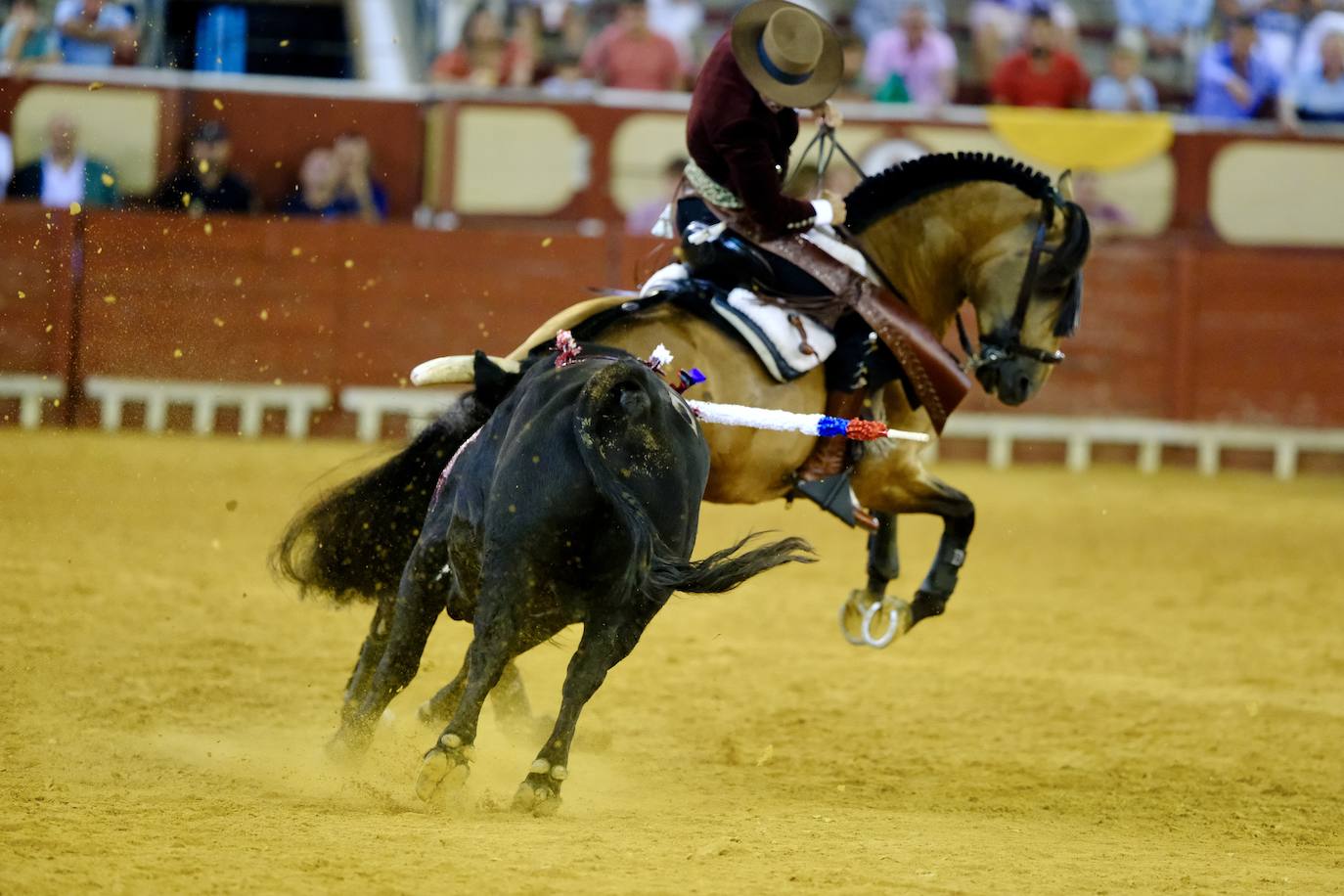 Oreja para Cartagena y Ventura ante un encastado encierro de Guiomar Cortés de Moura en El Puerto