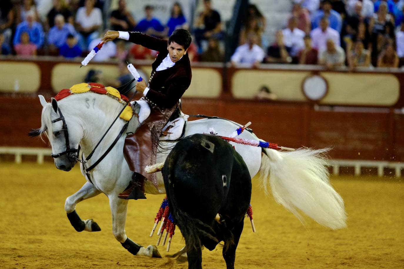 Oreja para Cartagena y Ventura ante un encastado encierro de Guiomar Cortés de Moura en El Puerto