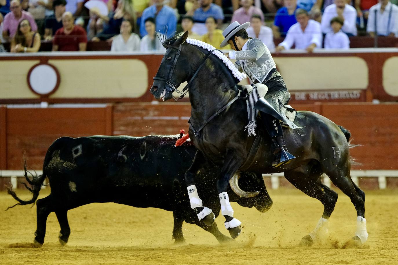 Oreja para Cartagena y Ventura ante un encastado encierro de Guiomar Cortés de Moura en El Puerto