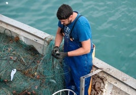 Fotografías de un drama: el alga asiática pasa 'factura' a los pescadores de Conil