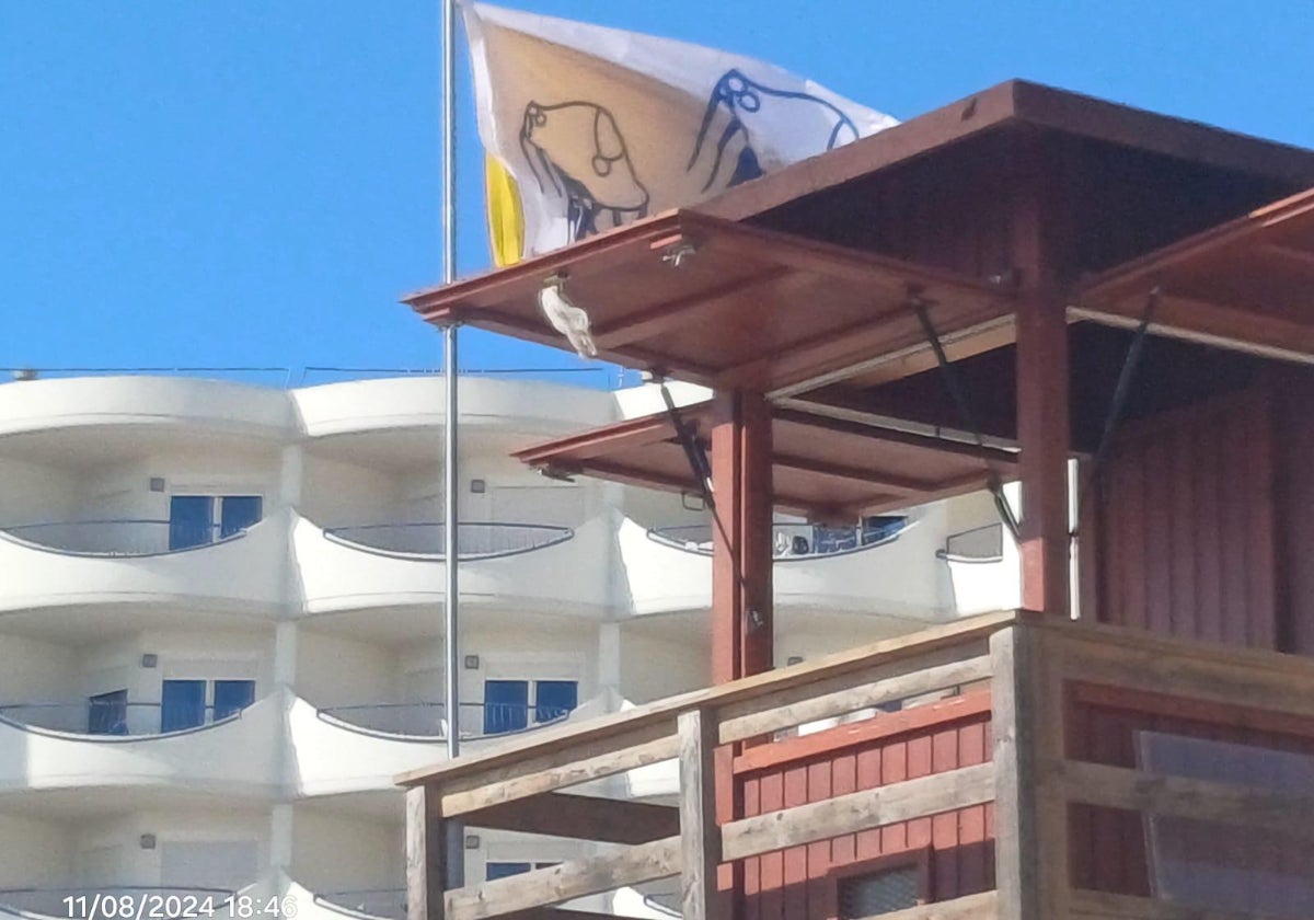 Bandera alertando de la presencia de medusas en la playa Victoria