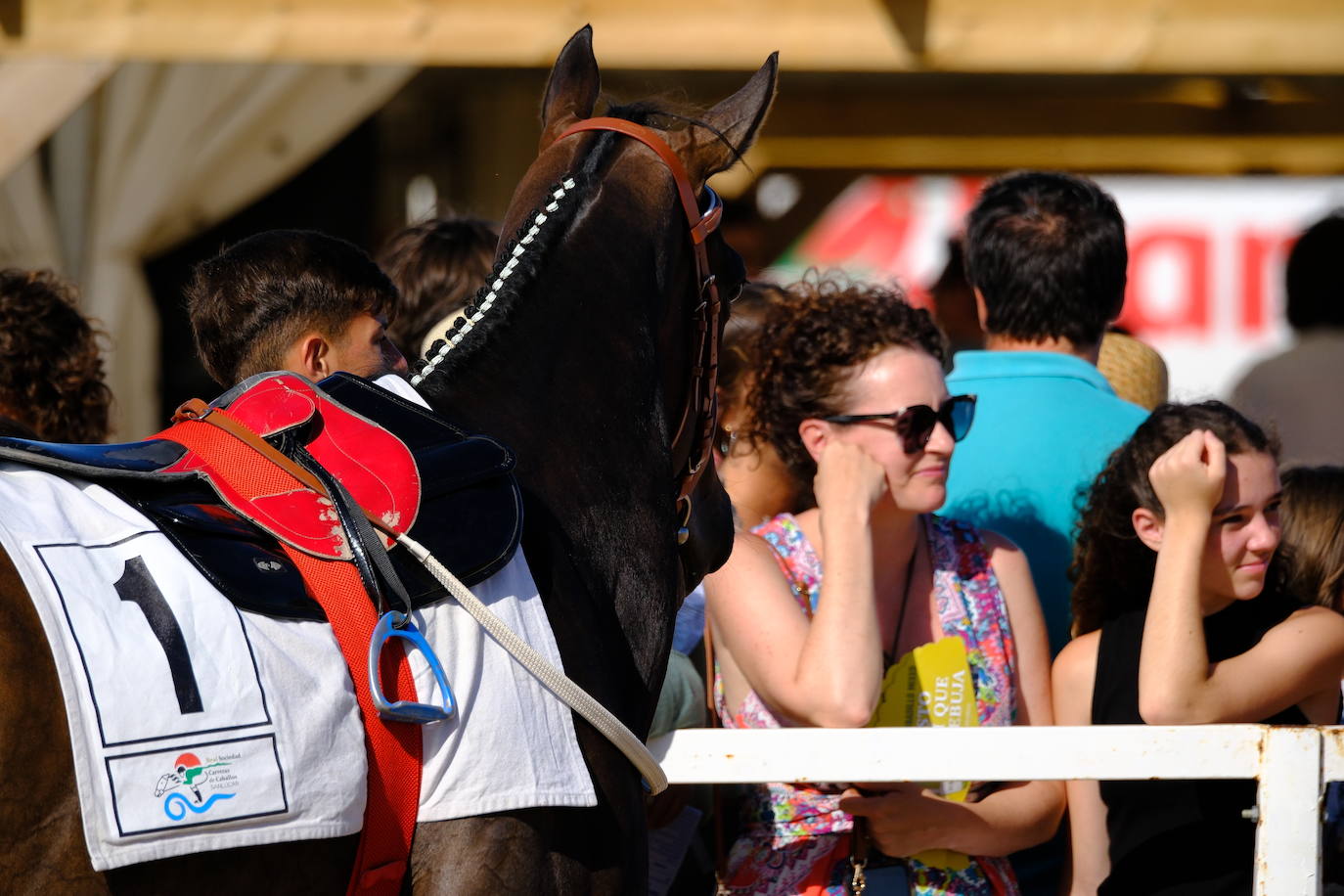 Fotos: Brillante doblete de Jaime Gelabert en las carreras de caballos de Sanlúcar