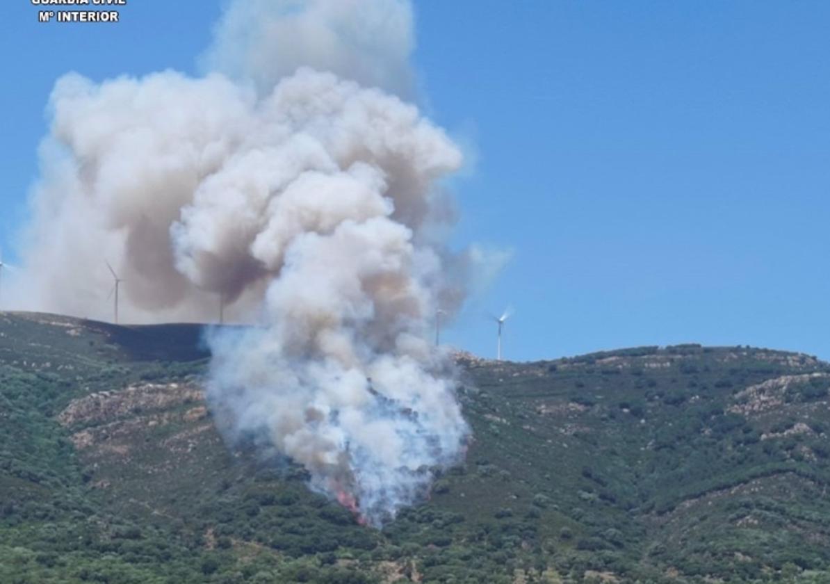 Imagen del fuego en el Parque Nartural de los Alcornocales