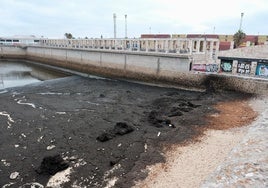 Un arribazón de algas, el no tan extraño vertido que ensucia la 'playita' de la Punta de San Felipe, en Cádiz