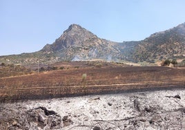 Extinguido un incendio forestal en El Gastor tras afectar a 15 hectáreas de pasto