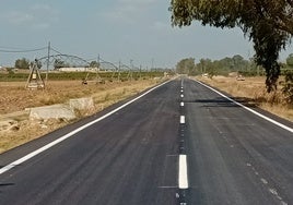 Reabre al tráfico la carretera CA-3110 en Jerez tras las obras de mejora