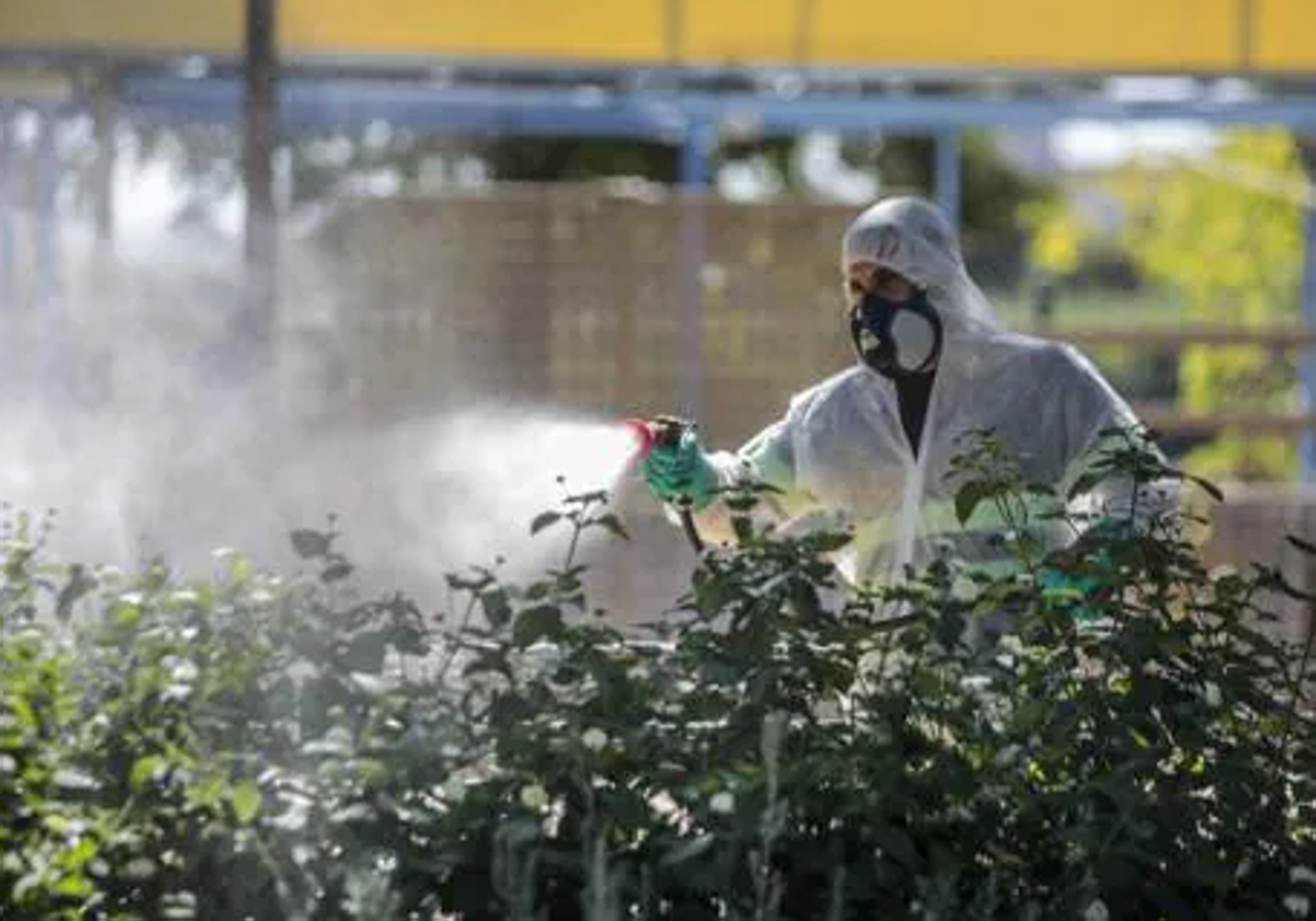 Fumigación para evitar la proliferación de mosquitos