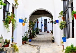 Ni Córdoba ni Frigiliana: el pueblo de la Sierra de Cádiz en el que puedes perderte por calles llenas de macetas