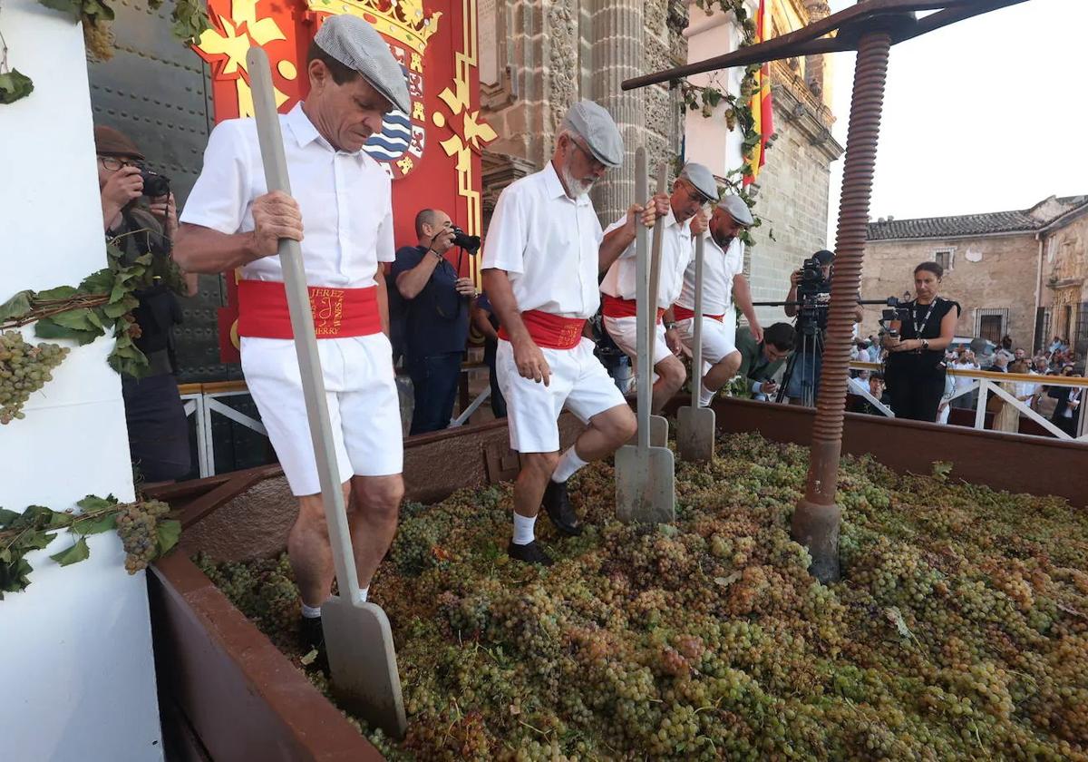 Así ha sido la ceremonia de la Pisa de la Uva en el Reducto de la Catedral de Jerez