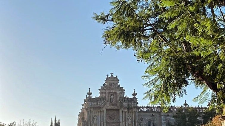 Las Hermanas Carmelitas Mensajeras llegarán a la Cartuja de Jerez la próxima semana