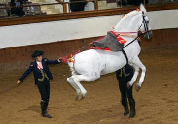 La Real Escuela dedica su espectáculo ecuestre del 13 de septiembre al Día Europeo del Caballo